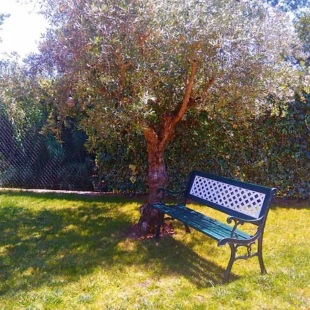 Carrega Water Mill Villa Penela Exterior photo