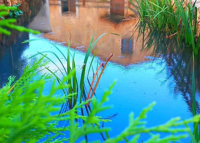 Carrega Water Mill