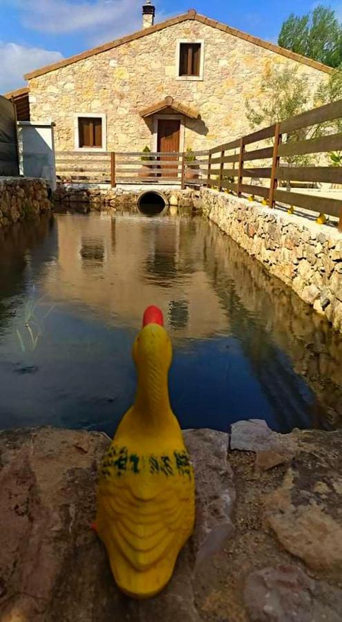 Carrega Water Mill Penela