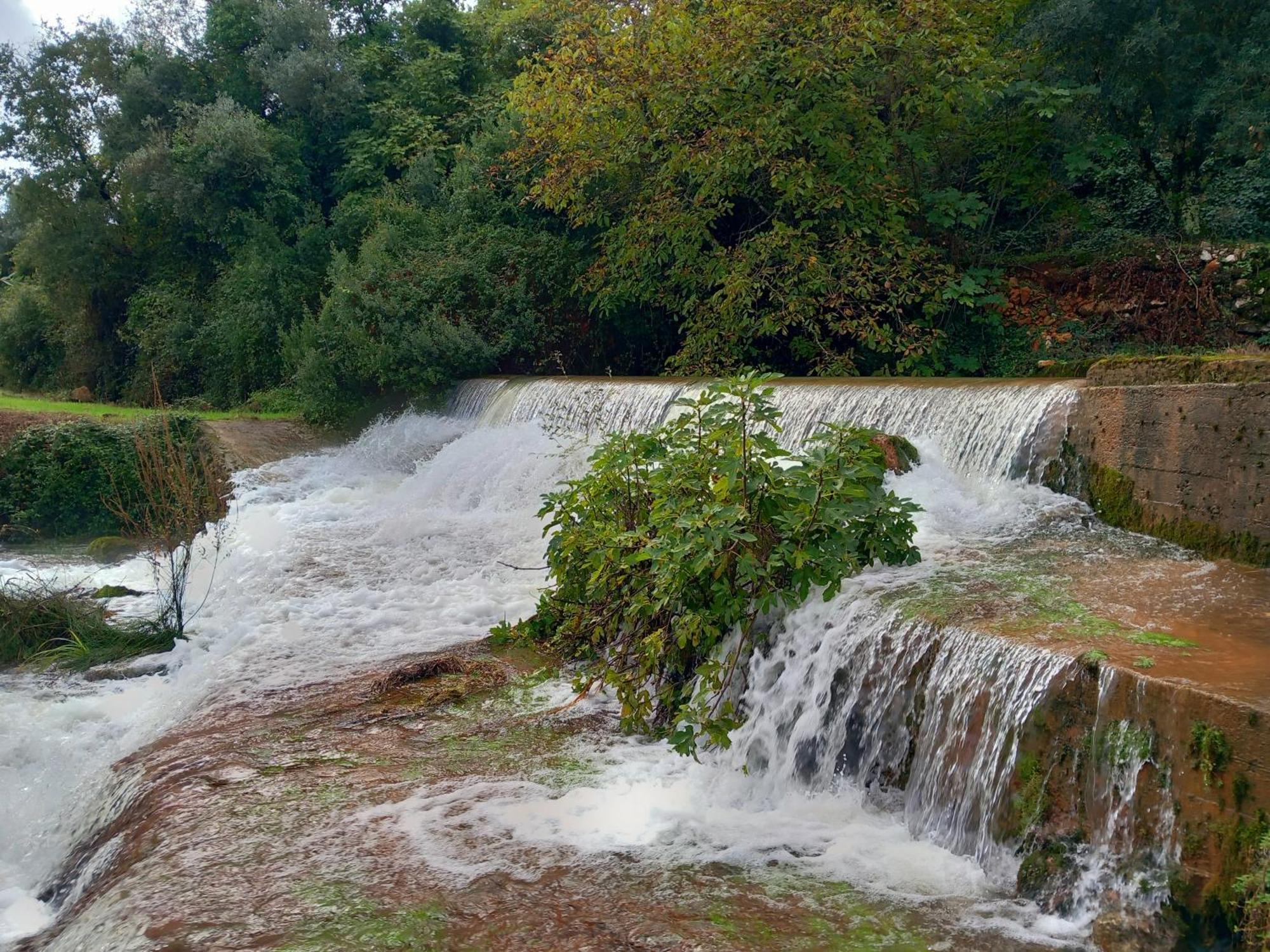 Carrega Water Mill Penela